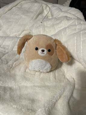 Squishmallows Harrison the Dog 8" Plush Fuzzy Belly Stuffed Animal